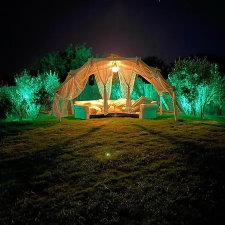 Готель Maia Hotel *